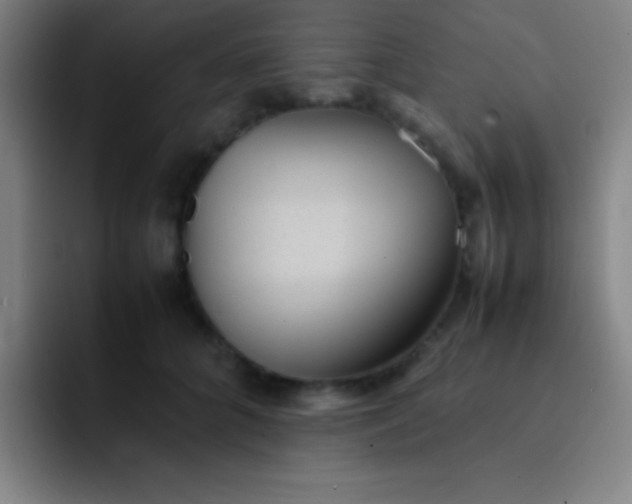 X0000091470704200709241305