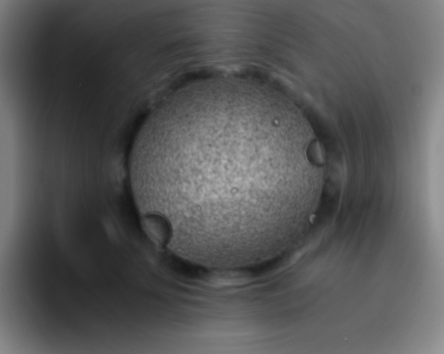 X0000091470707200709241305