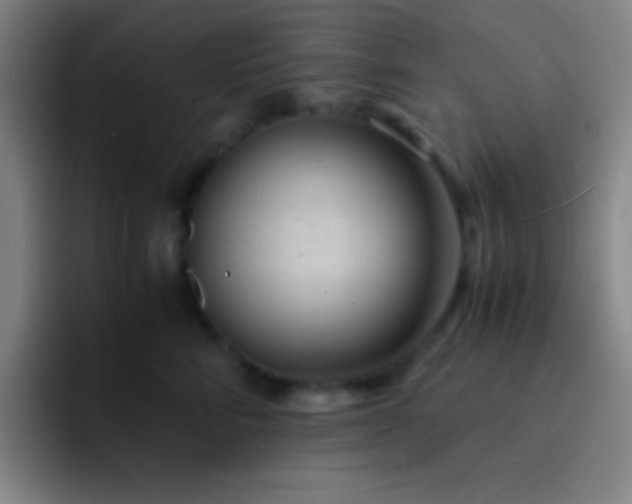 X0000091470712200709241305