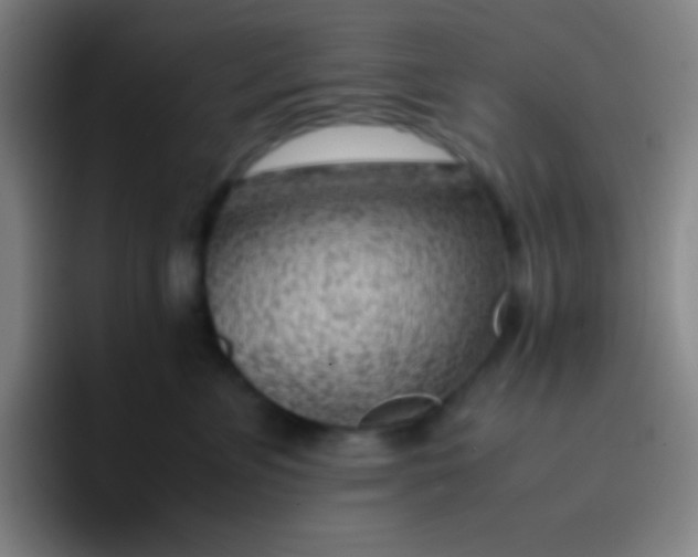 X0000091470715200709241305