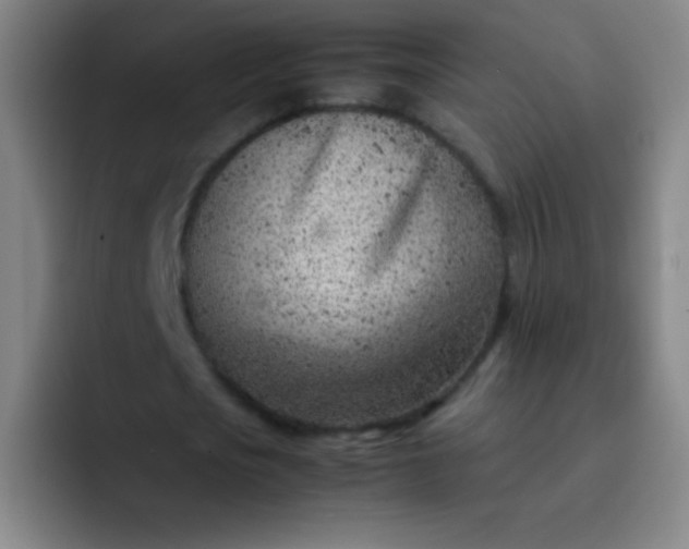 X0000091470721200709241305