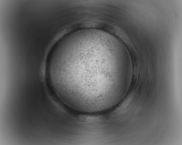 X0000091470722200709241305