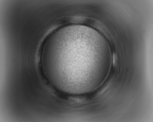 X0000091470723200709241305