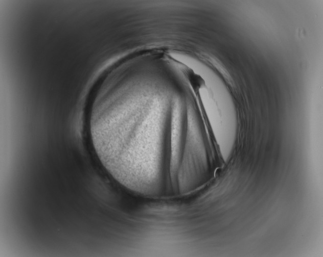 X0000091470724200709241305