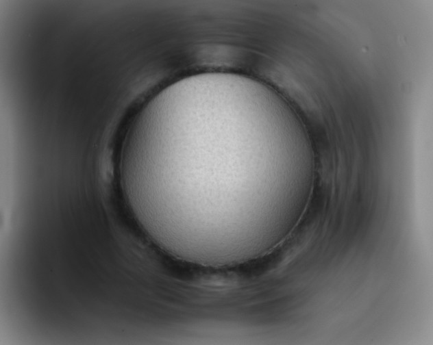 X0000091470731200709241305