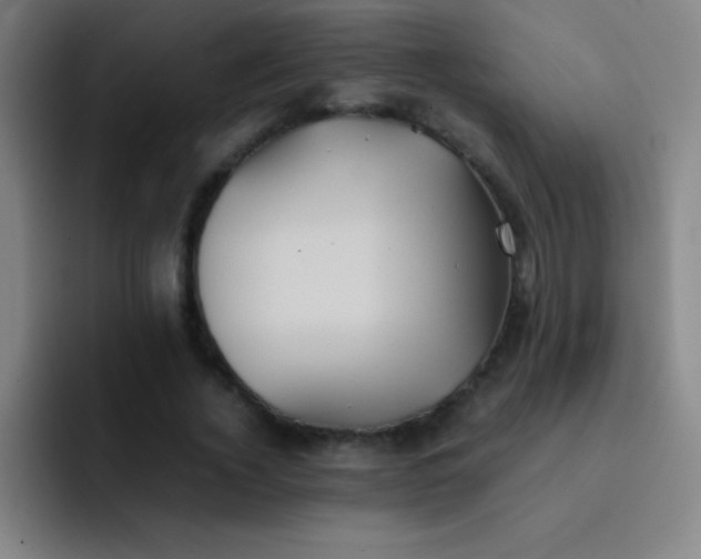 X0000091470732200709241305