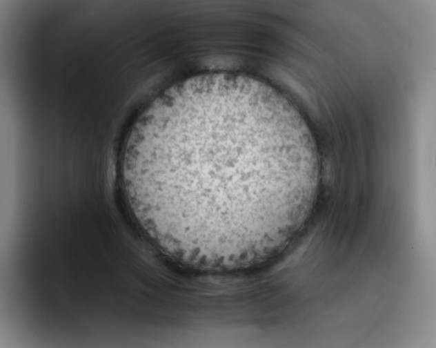 X0000091470733200709241305