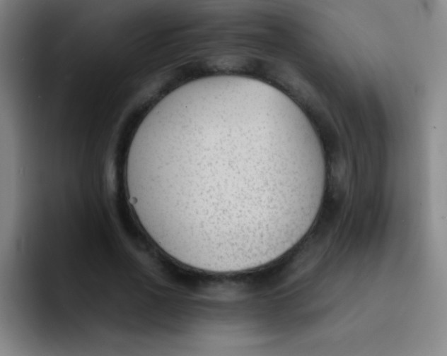 X0000091470734200709241305