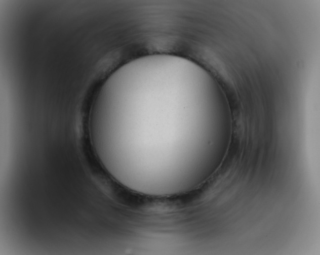 X0000091470738200709241305