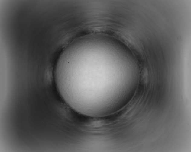 X0000091470746200709241305