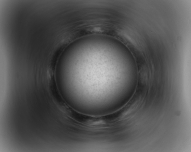 X0000091470747200709241305