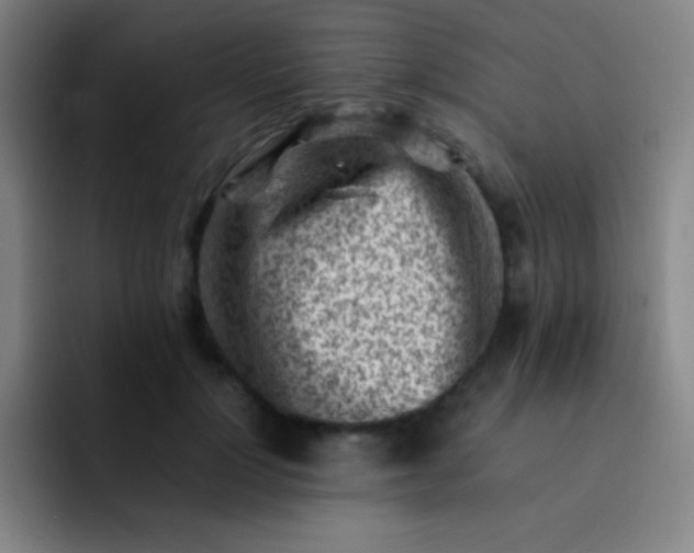 X0000091470748200709241305