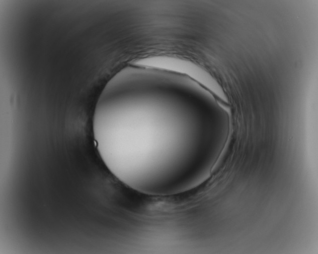 X0000091470750200709241305