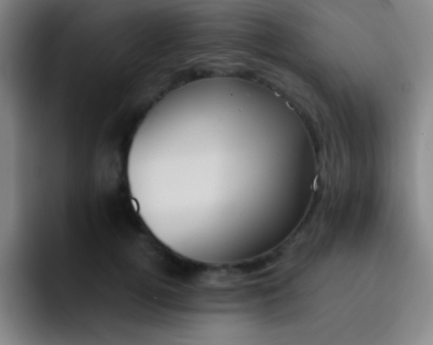 X0000091470752200709241305