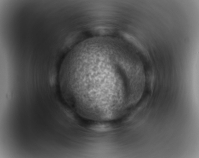 X0000091470760200709241305