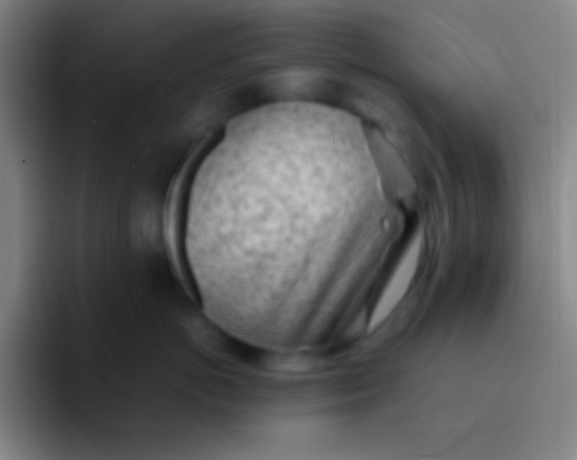 X0000091470766200709241305