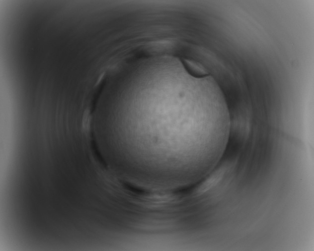 X0000091470767200709241305