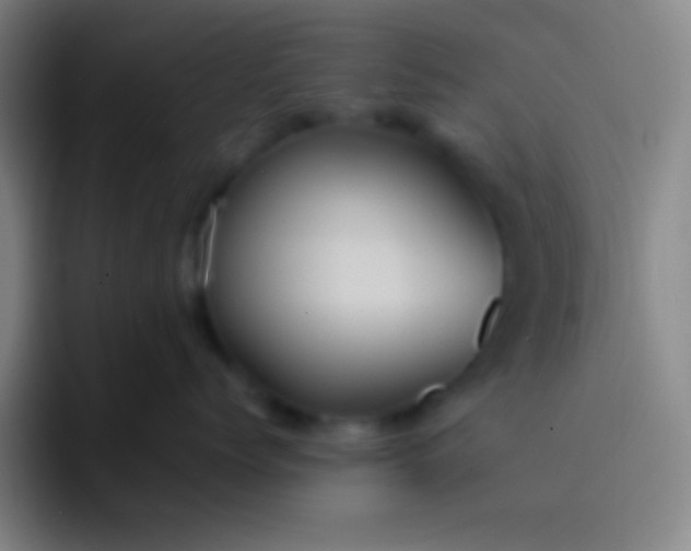 X0000091470768200709241305