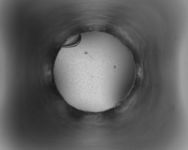 X0000091470771200709241305