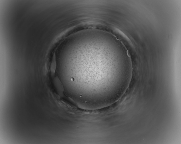 X0000091470775200709241305