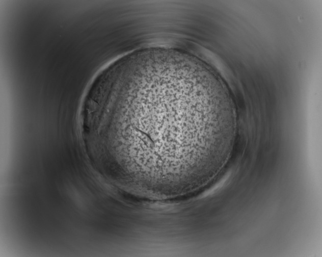 X0000091470779200709241305