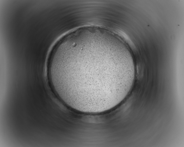 X0000091470780200709241305