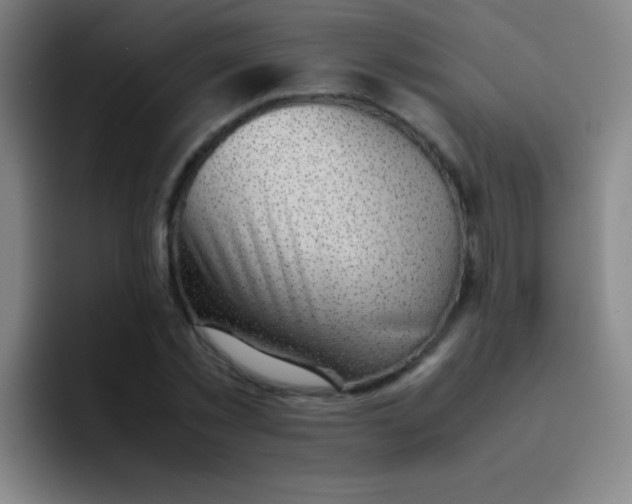 X0000091470781200709241305