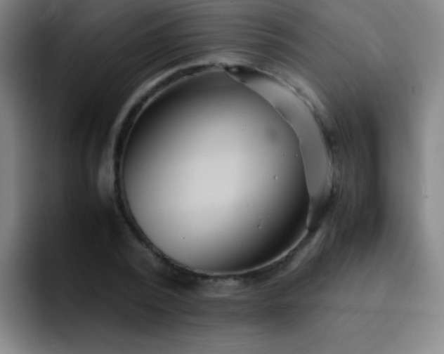 X0000091470784200709241305