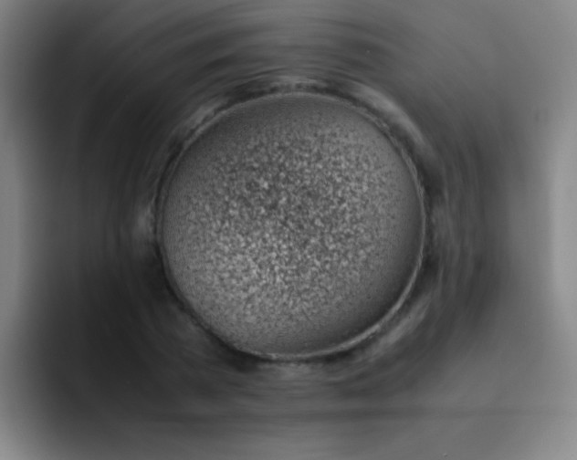 X0000091470785200709241305