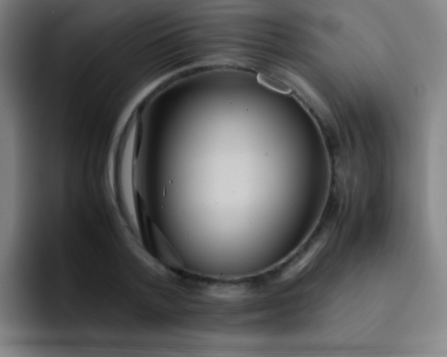 X0000091470788200709241305