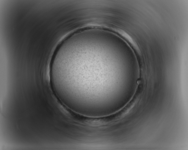 X0000091470791200709241304