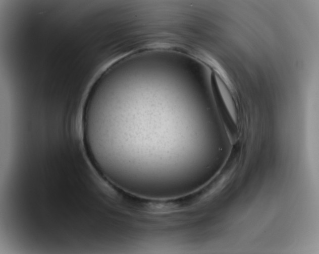 X0000091470795200709241304