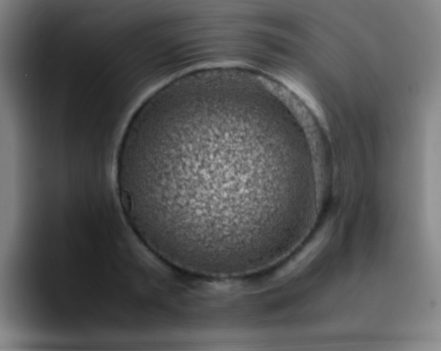 X0000091470797200709241304