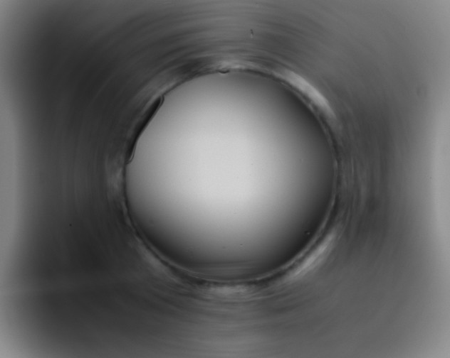 X0000091470801200709241304