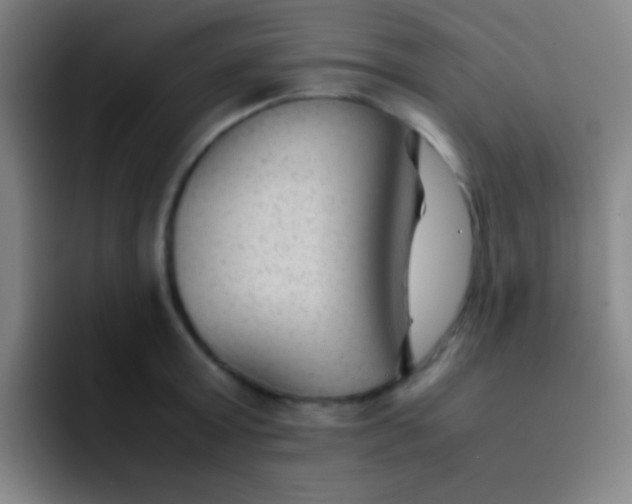 X0000091470803200709241304