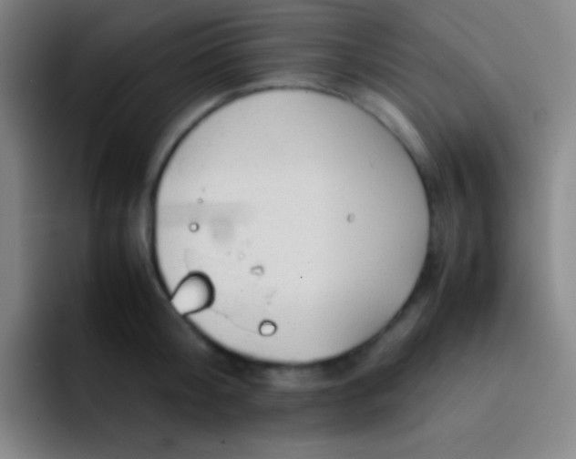 X0000091470804200709241304