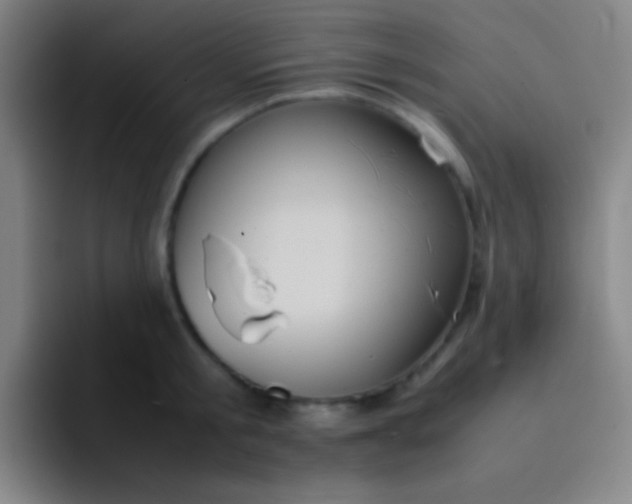 X0000091470805200709241304