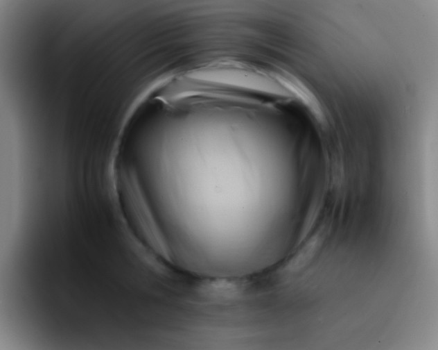 X0000091470806200709241304