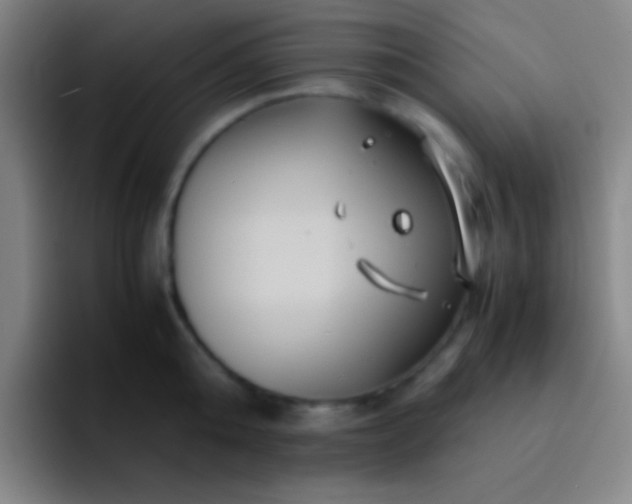 X0000091470808200709241304