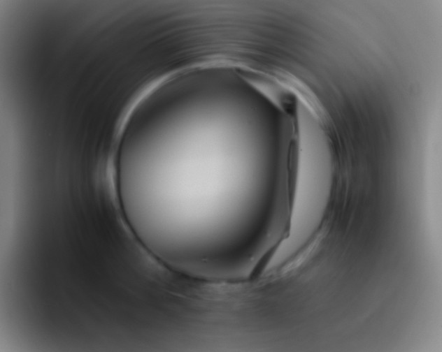 X0000091470812200709241304