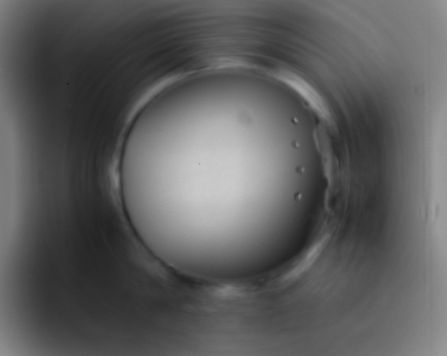 X0000091470814200709241304