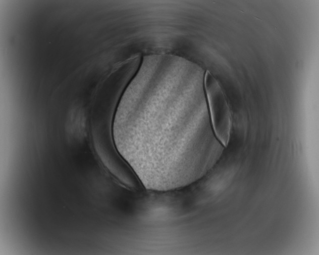 X0000091470818200709241304