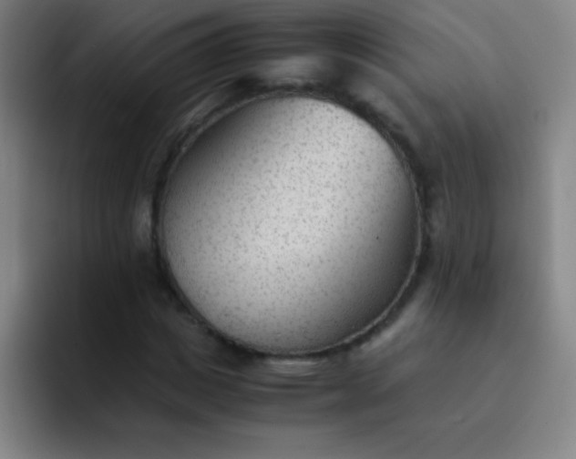 X0000091470825200709241304