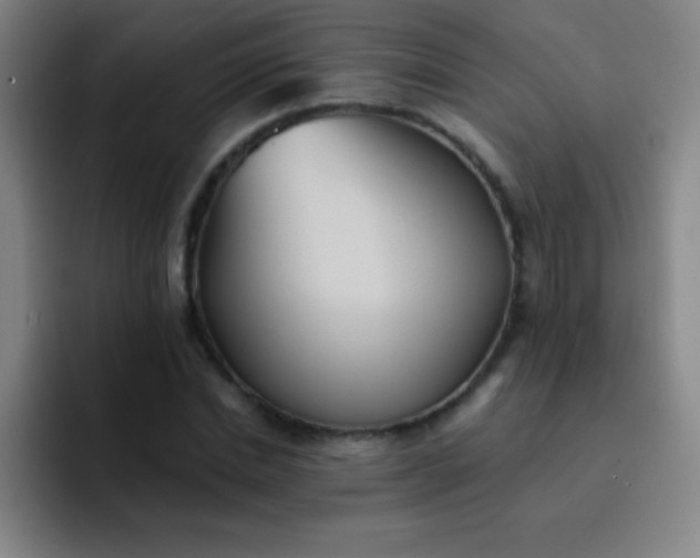 X0000091470830200709241304