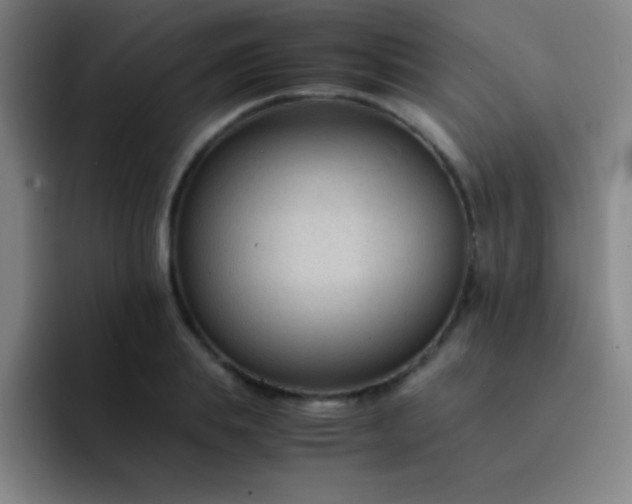 X0000091470839200709241304