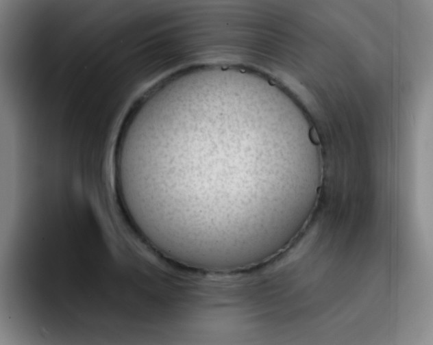 X0000091470840200709241304