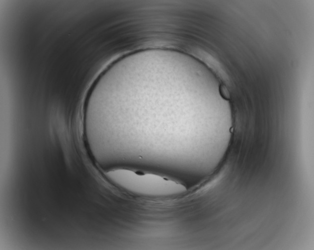 X0000091470844200709241304