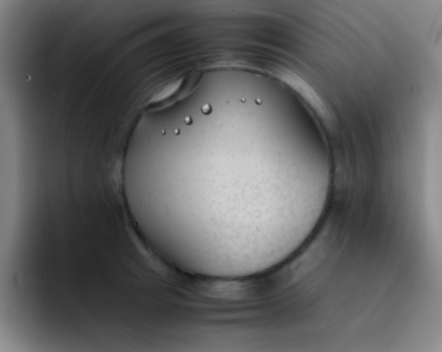 X0000091470849200709241304