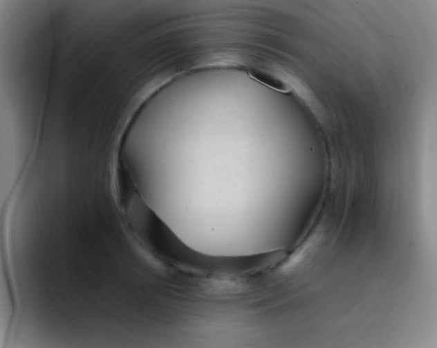 X0000091470850200709241304