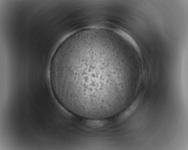 X0000091470855200709241304